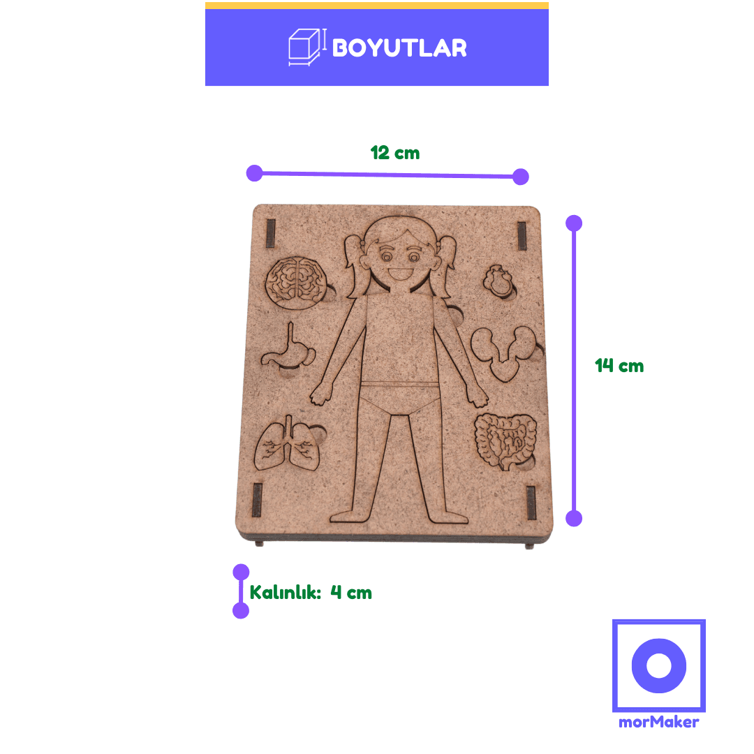 Vücudumu Tanıyorum | Eğitici Kendin Yap Ahşap Oyuncak | STEM-A Eğitim Seti - steam_oyuncaklari_stem_kendin_yap_ahsap_oyuncak_maker_set_egitici_oyuncak_Vucudumu_taniyorum_2